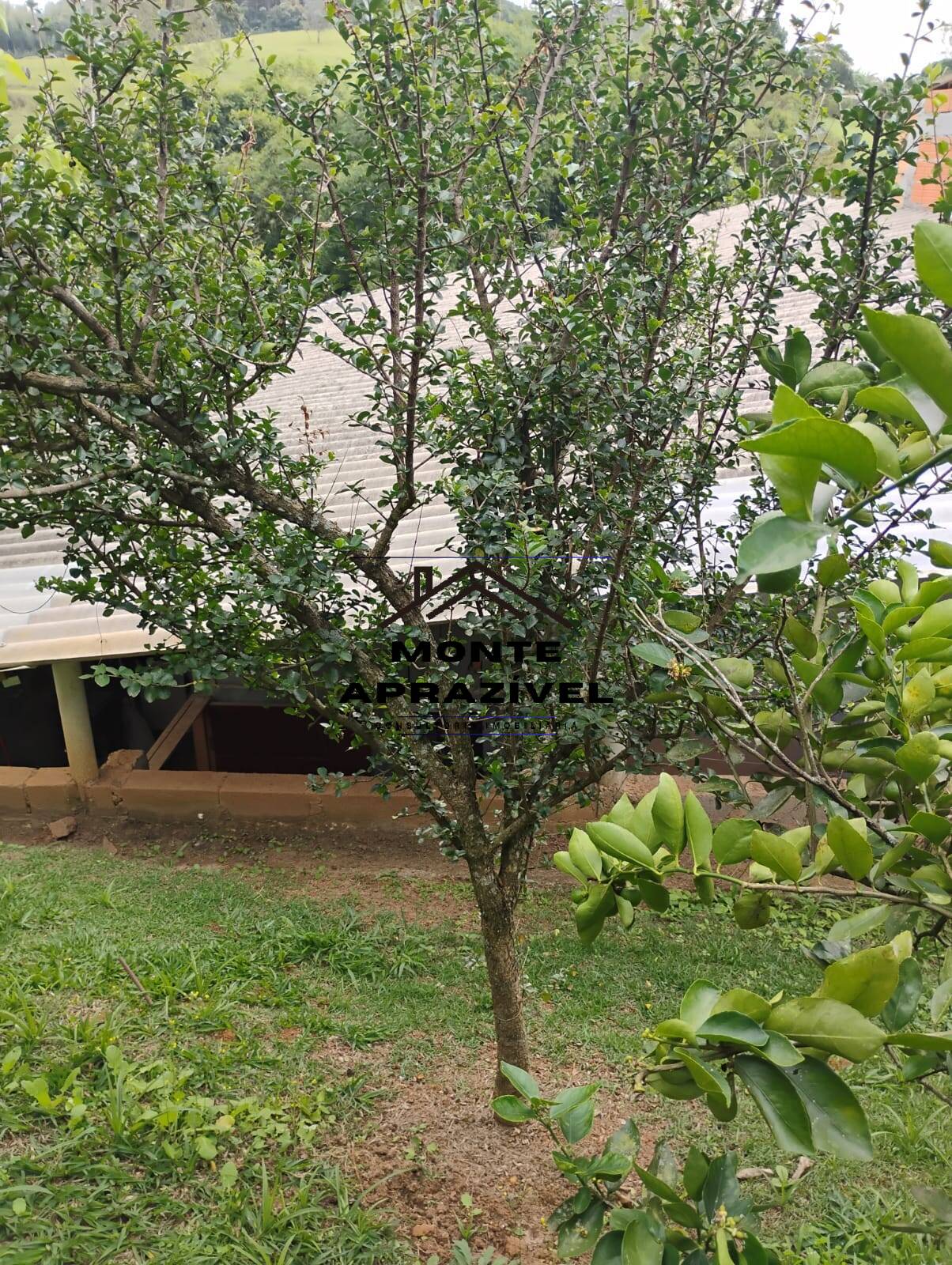 Casa, 1 quarto, 80 m² - Foto 8