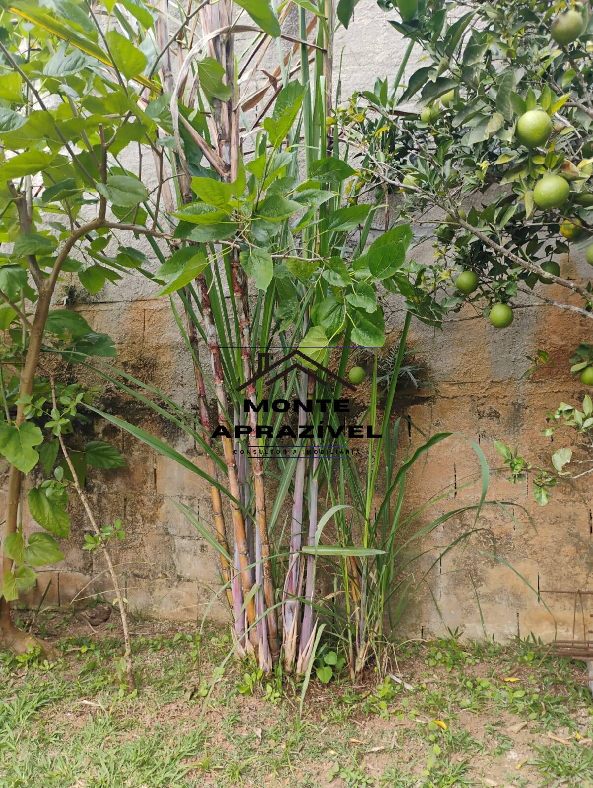 Casa, 1 quarto, 80 m² - Foto 9