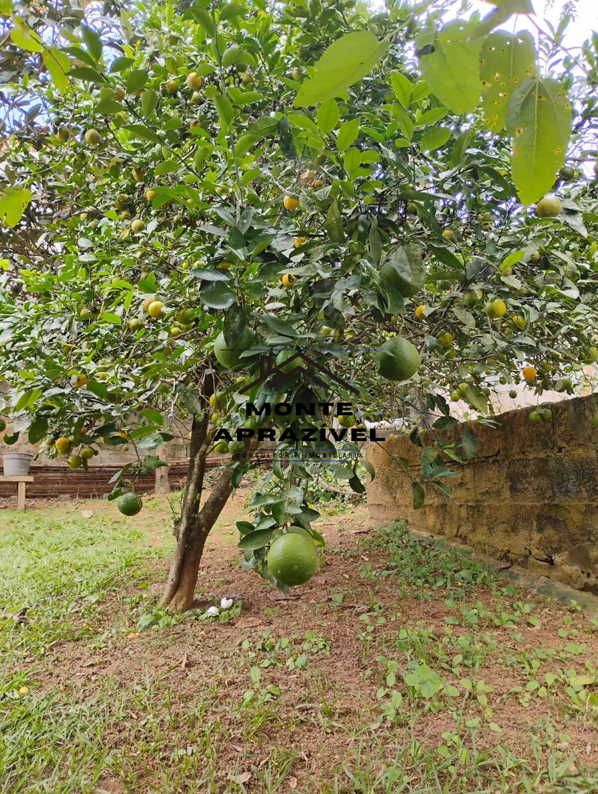 Casa, 1 quarto, 80 m² - Foto 15