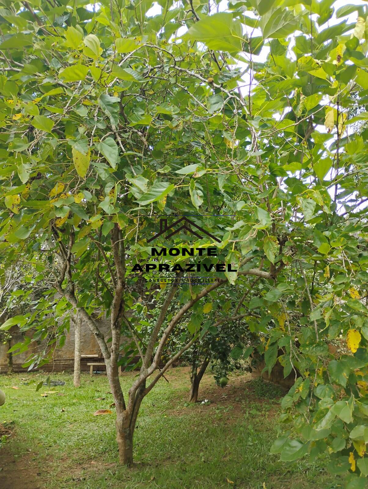 Casa, 1 quarto, 80 m² - Foto 22