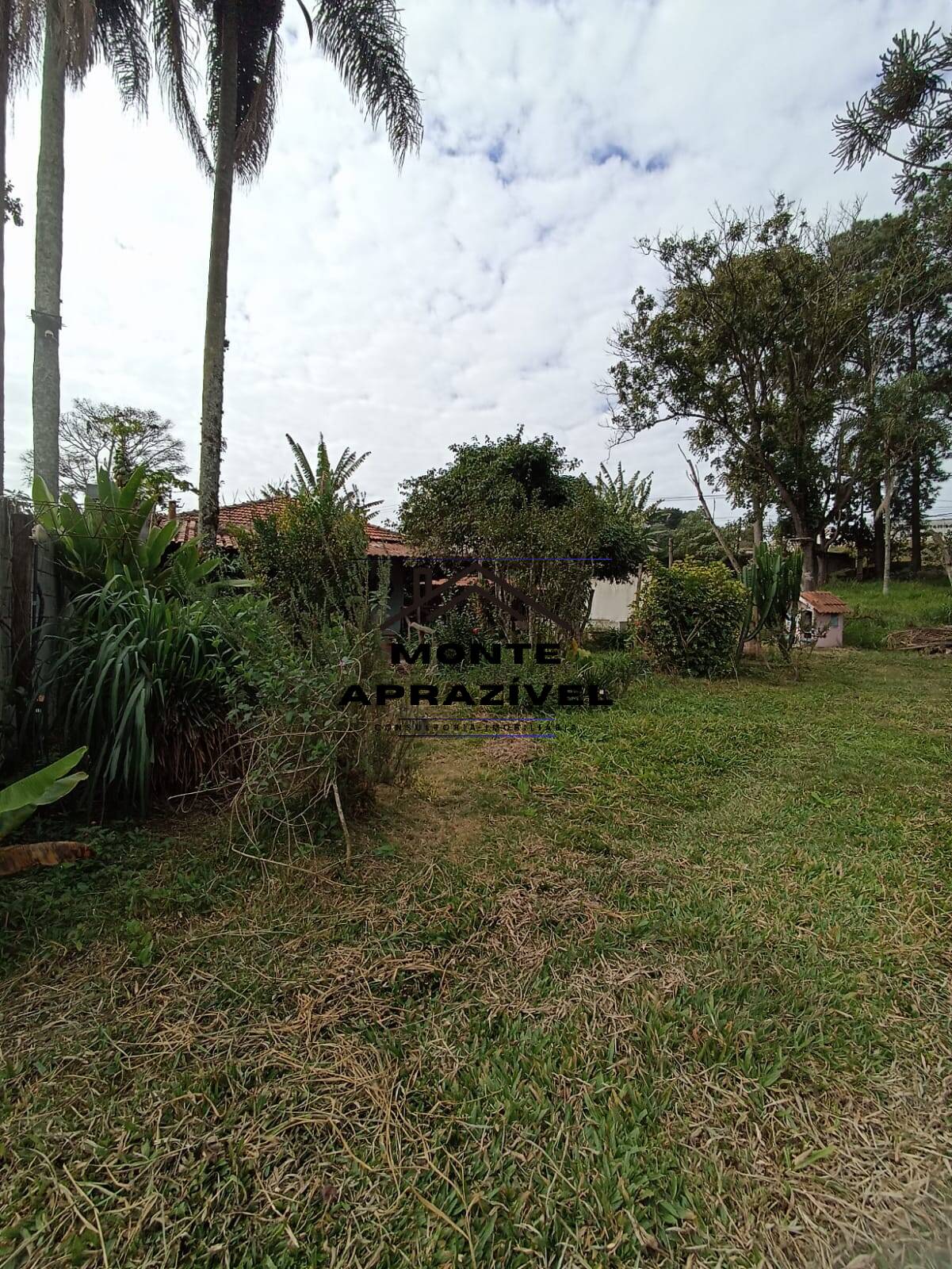 Chácara, 3 quartos, 800 m² - Foto 4