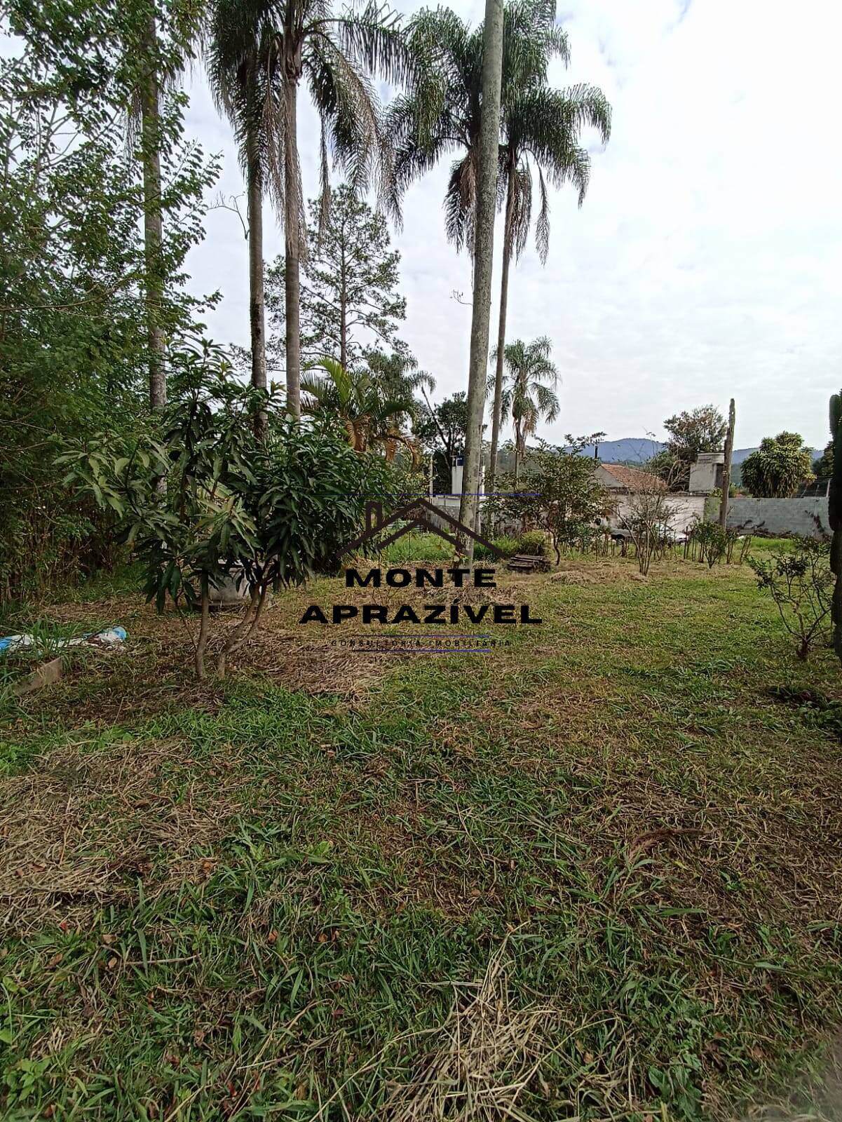 Chácara, 3 quartos, 800 m² - Foto 5