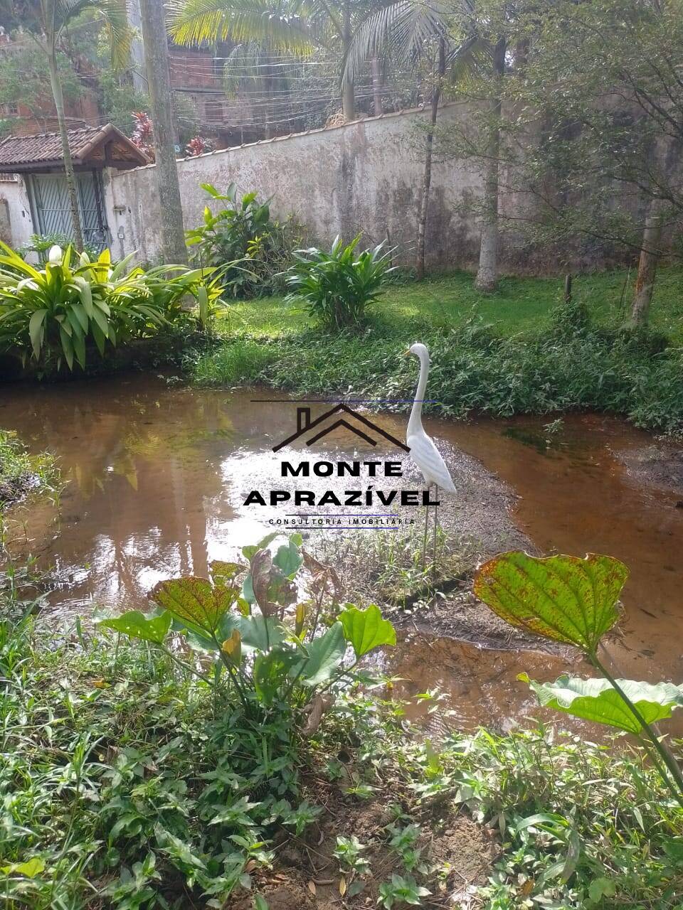 Chácara à venda com 2 quartos, 240m² - Foto 10