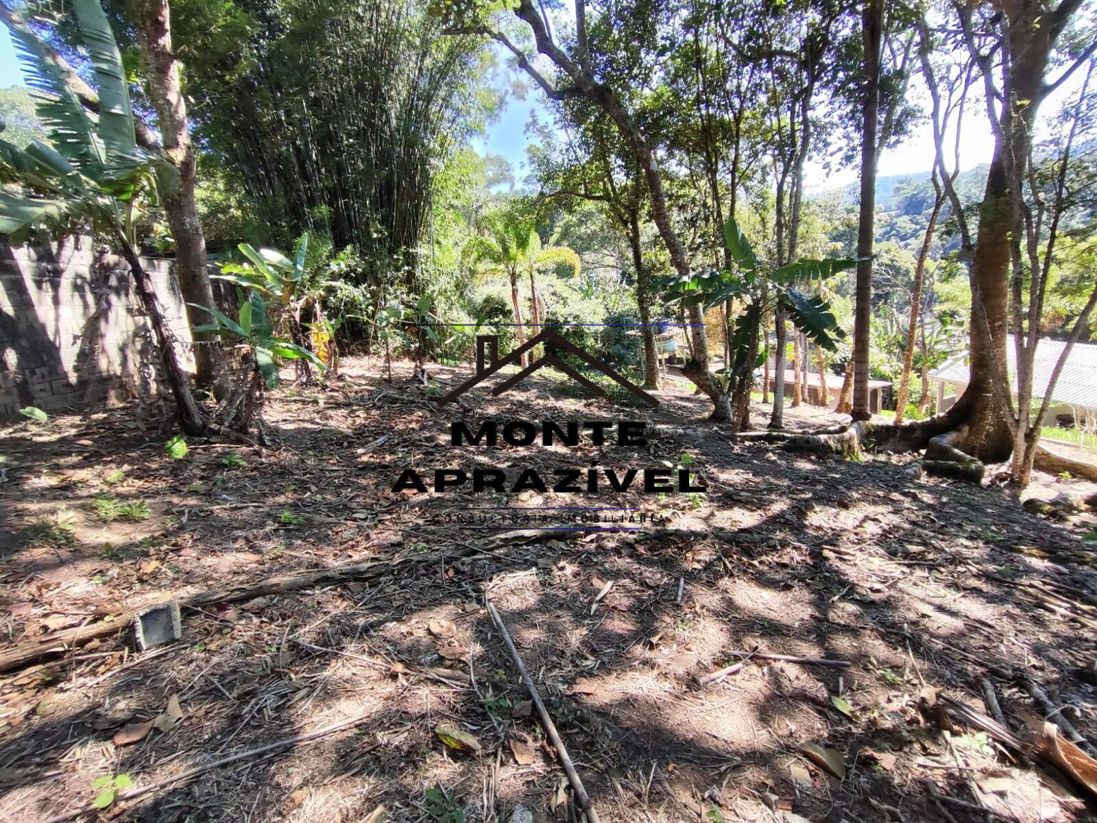 Chácara, 5 quartos, 1165 m² - Foto 3