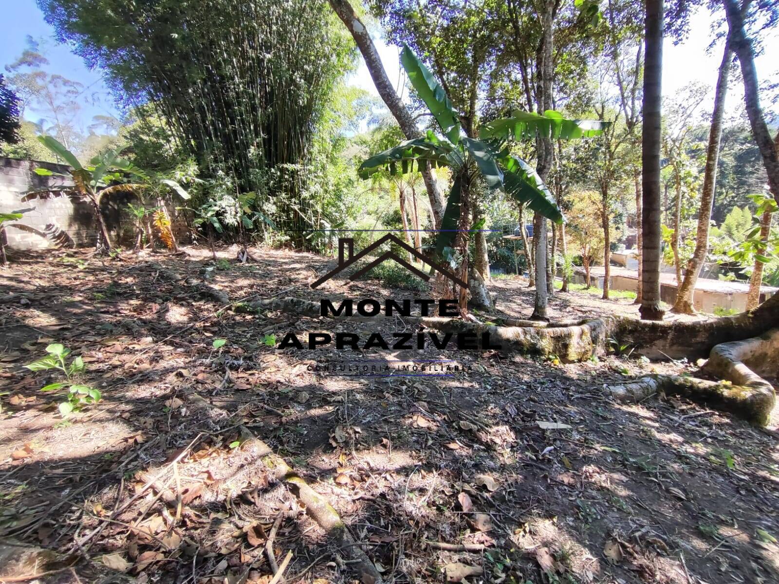 Chácara, 5 quartos, 1165 m² - Foto 20