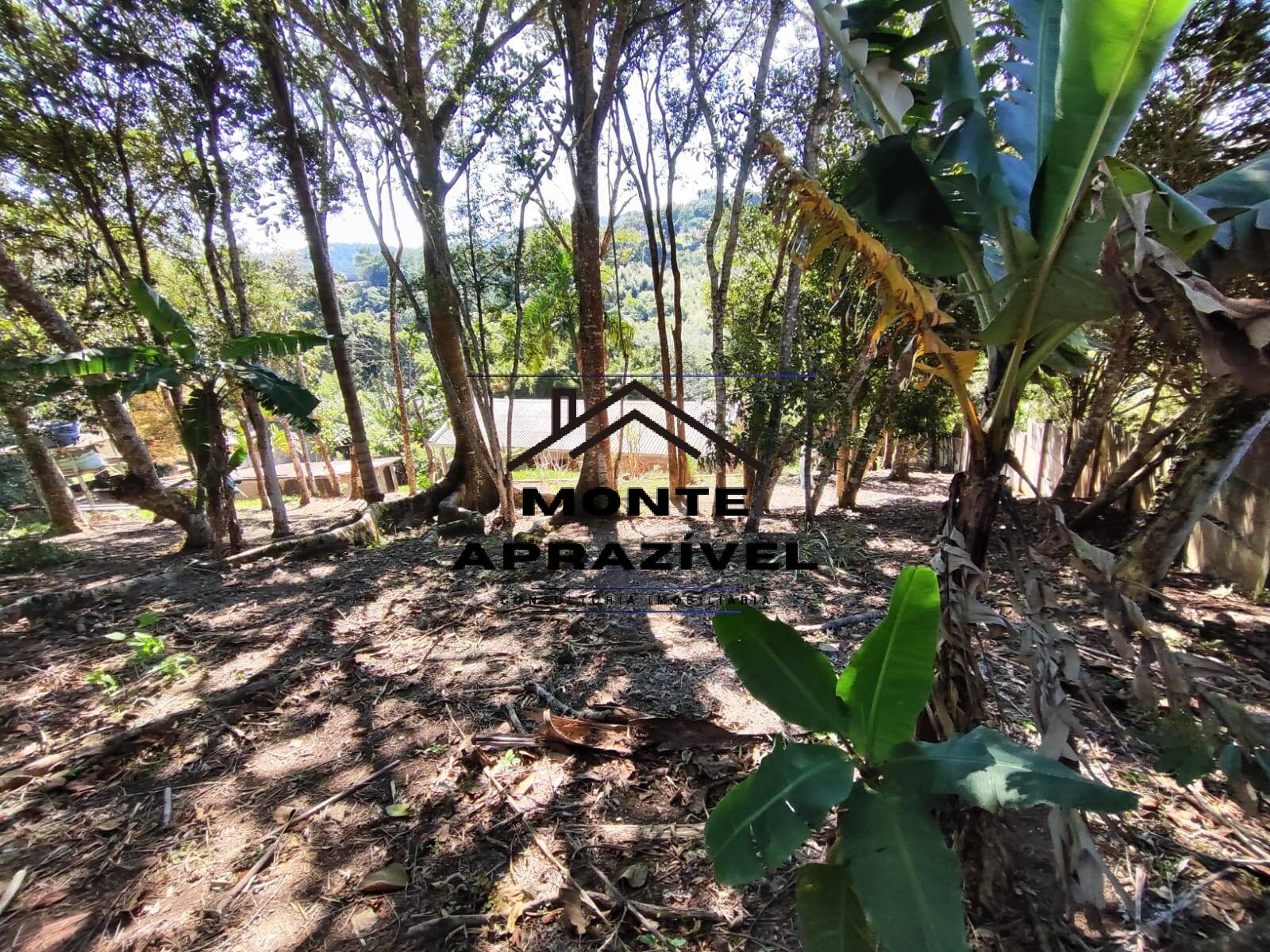 Chácara, 5 quartos, 1165 m² - Foto 19