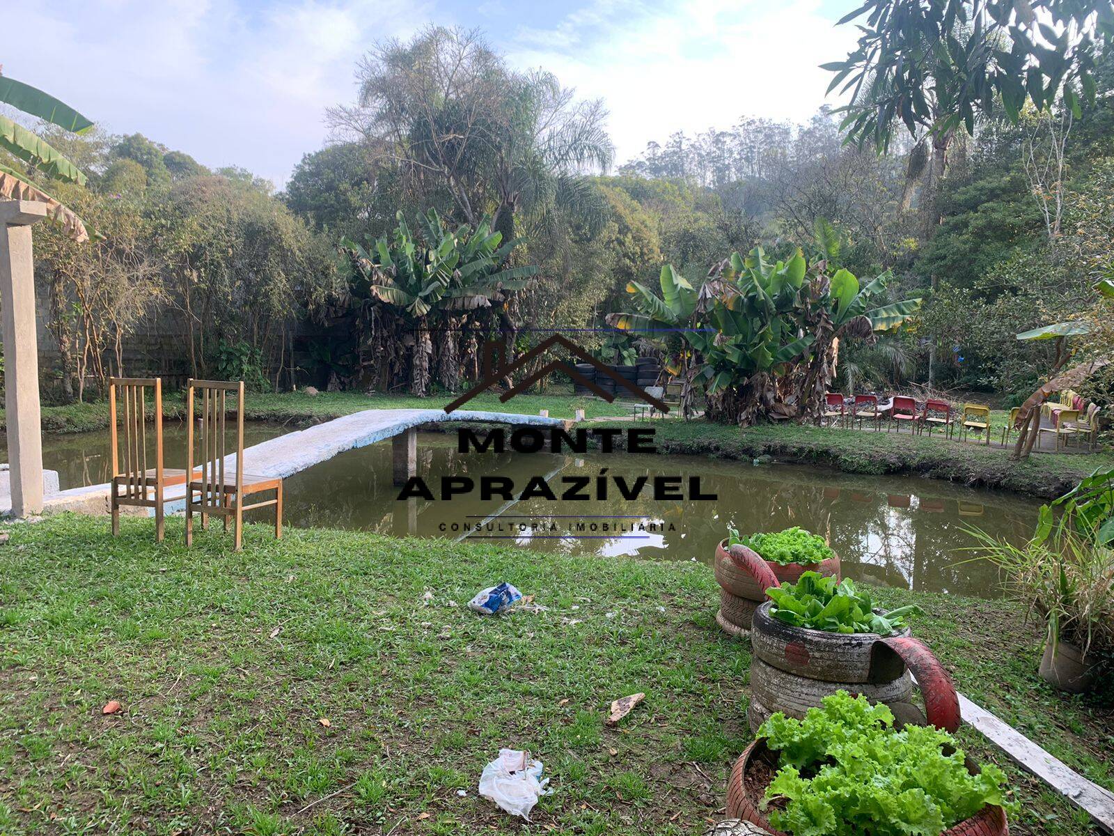 Sítio, 5 quartos, 4090 m² - Foto 19