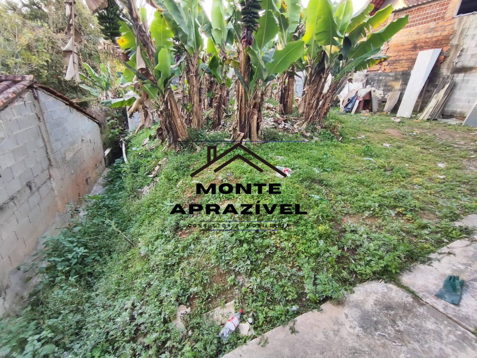 Casa, 3 quartos, 450 m² - Foto 4