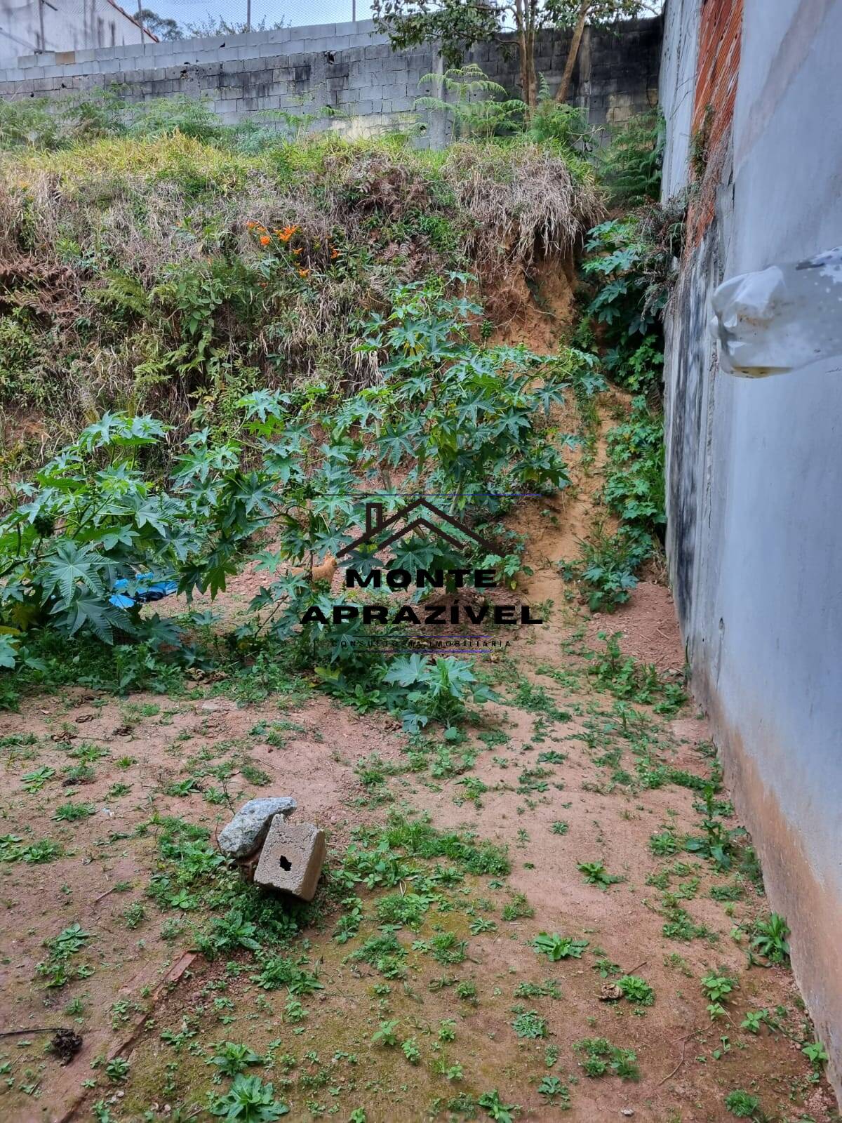 Casa, 2 quartos, 300 m² - Foto 15