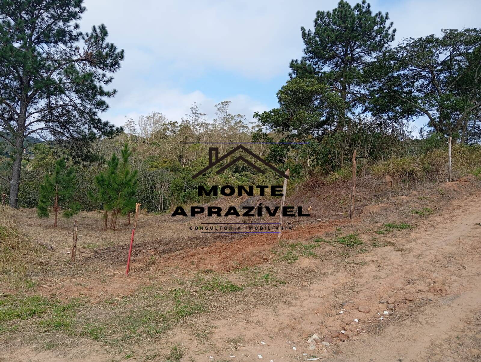 Terreno, 542 m² - Foto 4