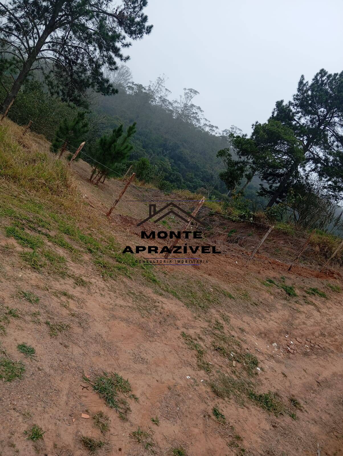 Terreno, 542 m² - Foto 3