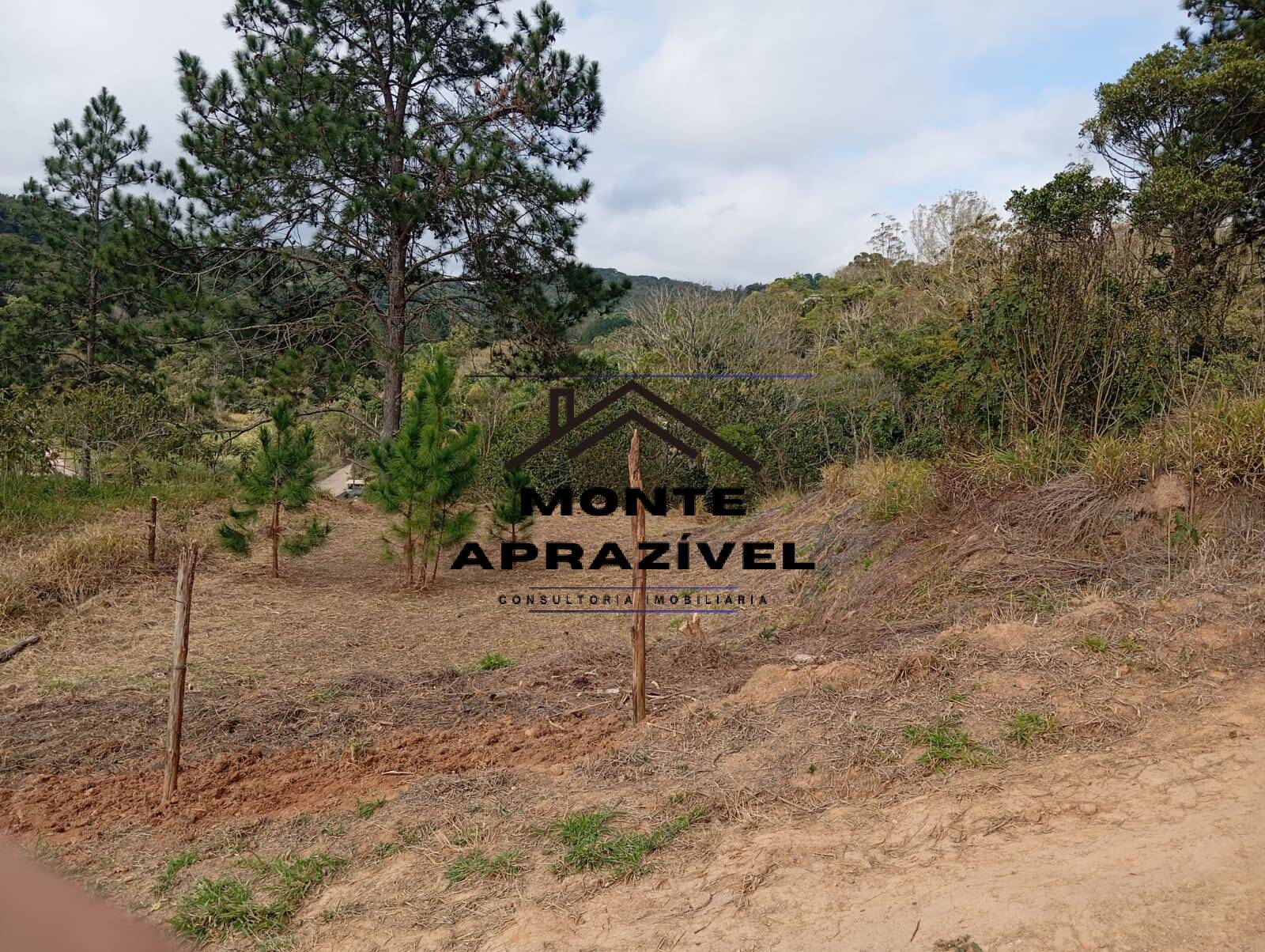 Terreno, 542 m² - Foto 6