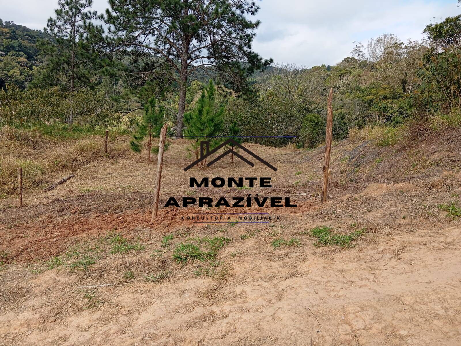 Terreno, 542 m² - Foto 8