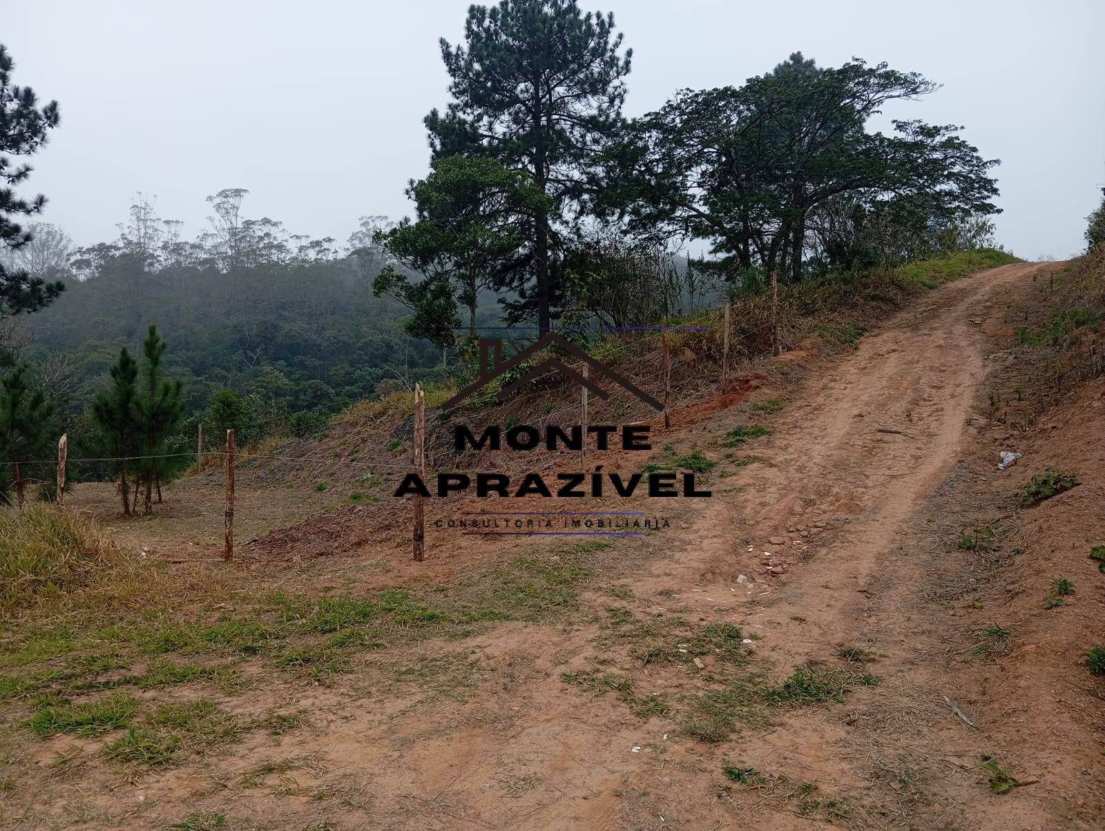 Terreno, 542 m² - Foto 11