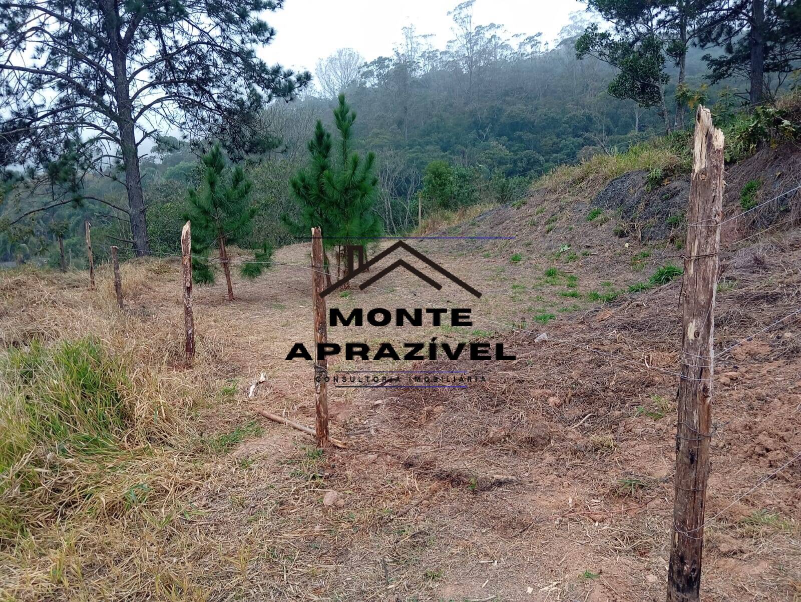 Terreno, 542 m² - Foto 13