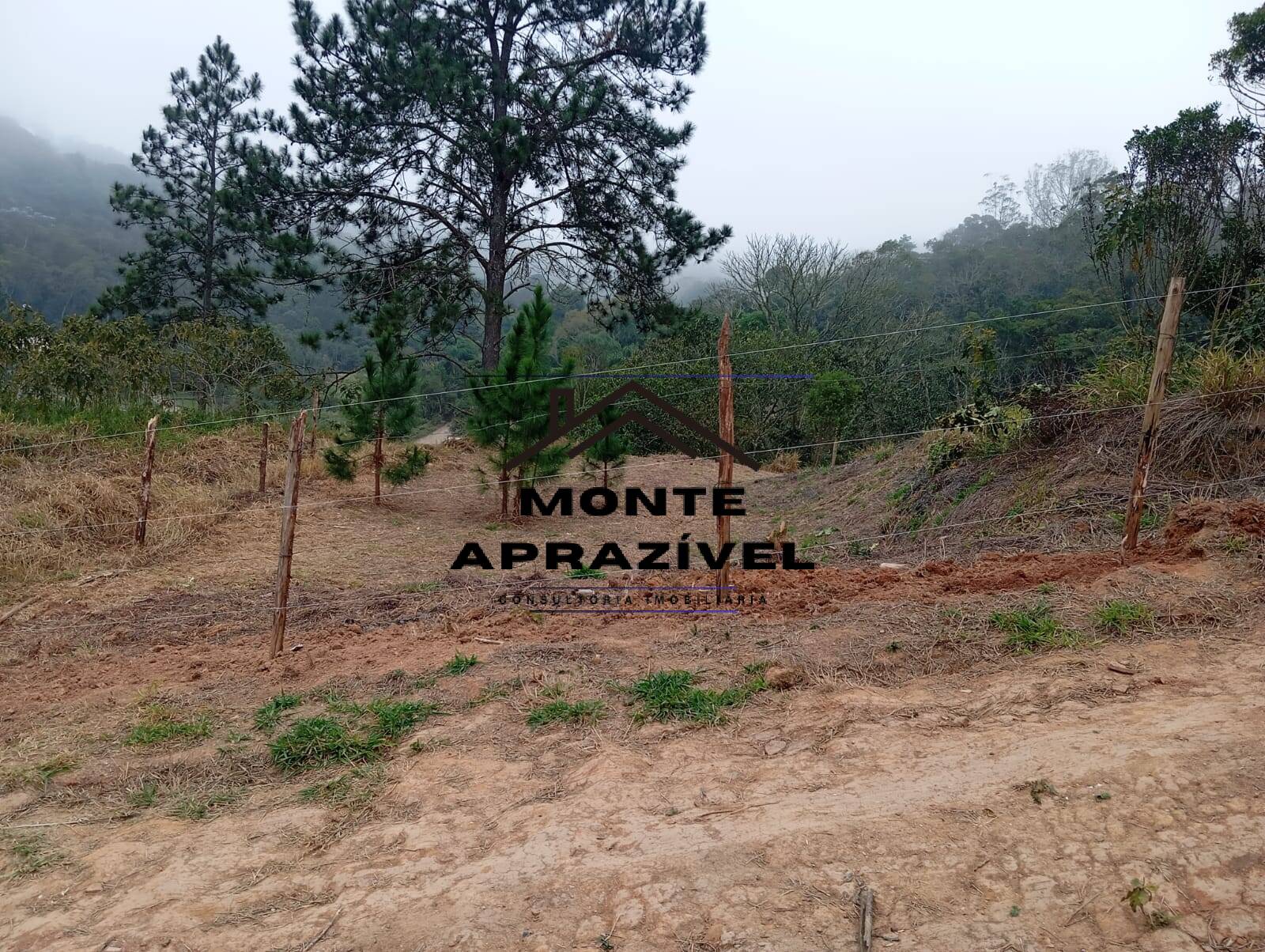 Terreno, 542 m² - Foto 12