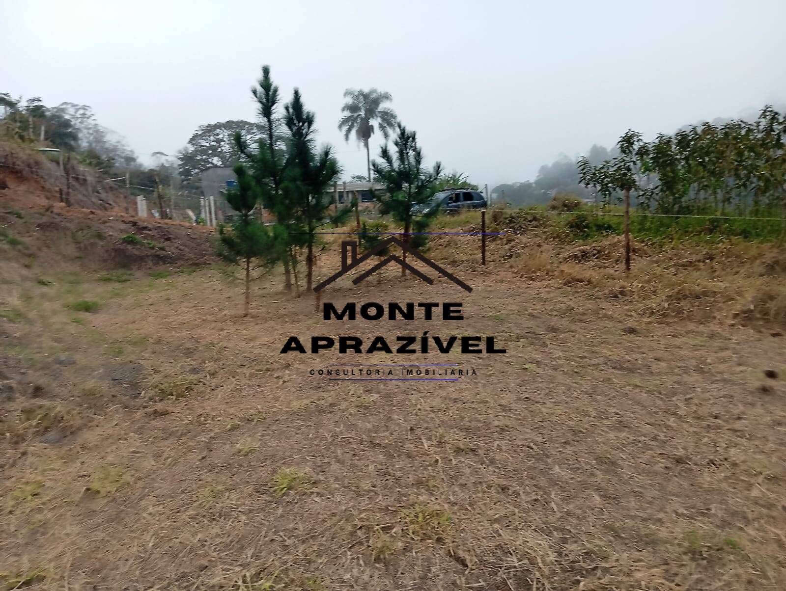 Terreno, 542 m² - Foto 1