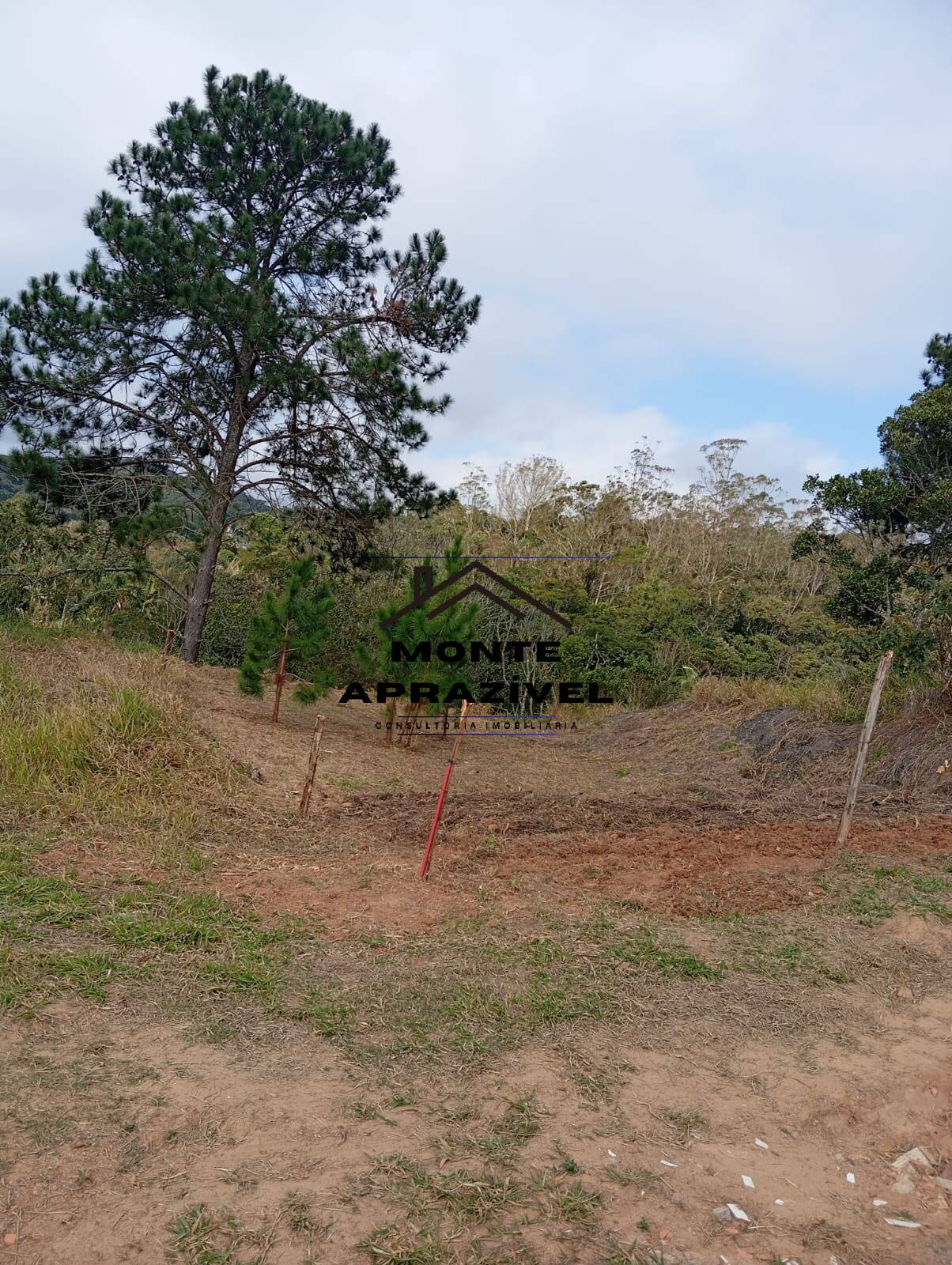 Terreno, 542 m² - Foto 14