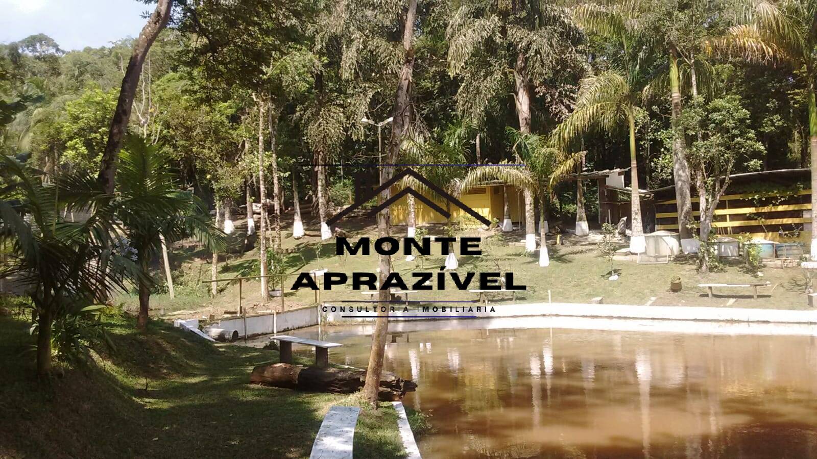 Sítio, 3 quartos, 5 hectares - Foto 6