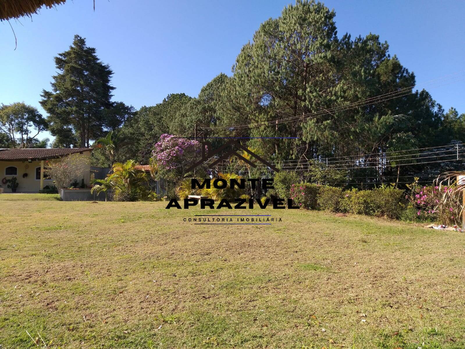 Sítio, 6 quartos, 5000 m² - Foto 31