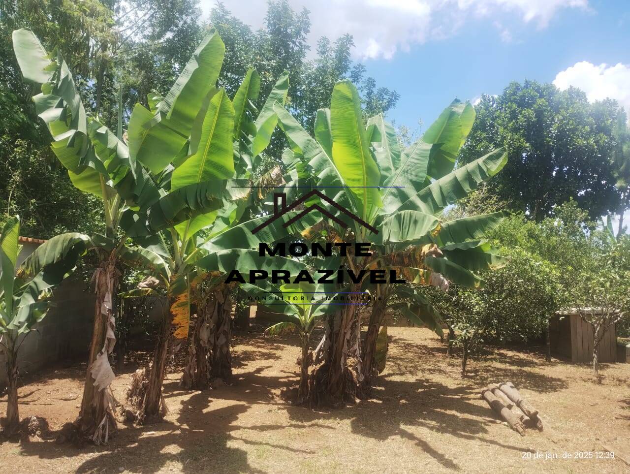 Chácara, 2 quartos, 1170 m² - Foto 13