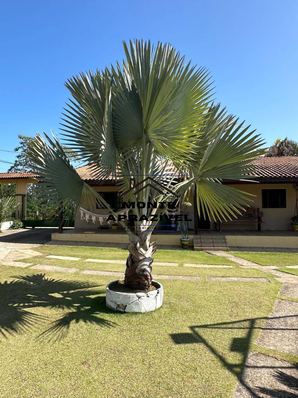 Chácara, 5 quartos, 5000 m² - Foto 9