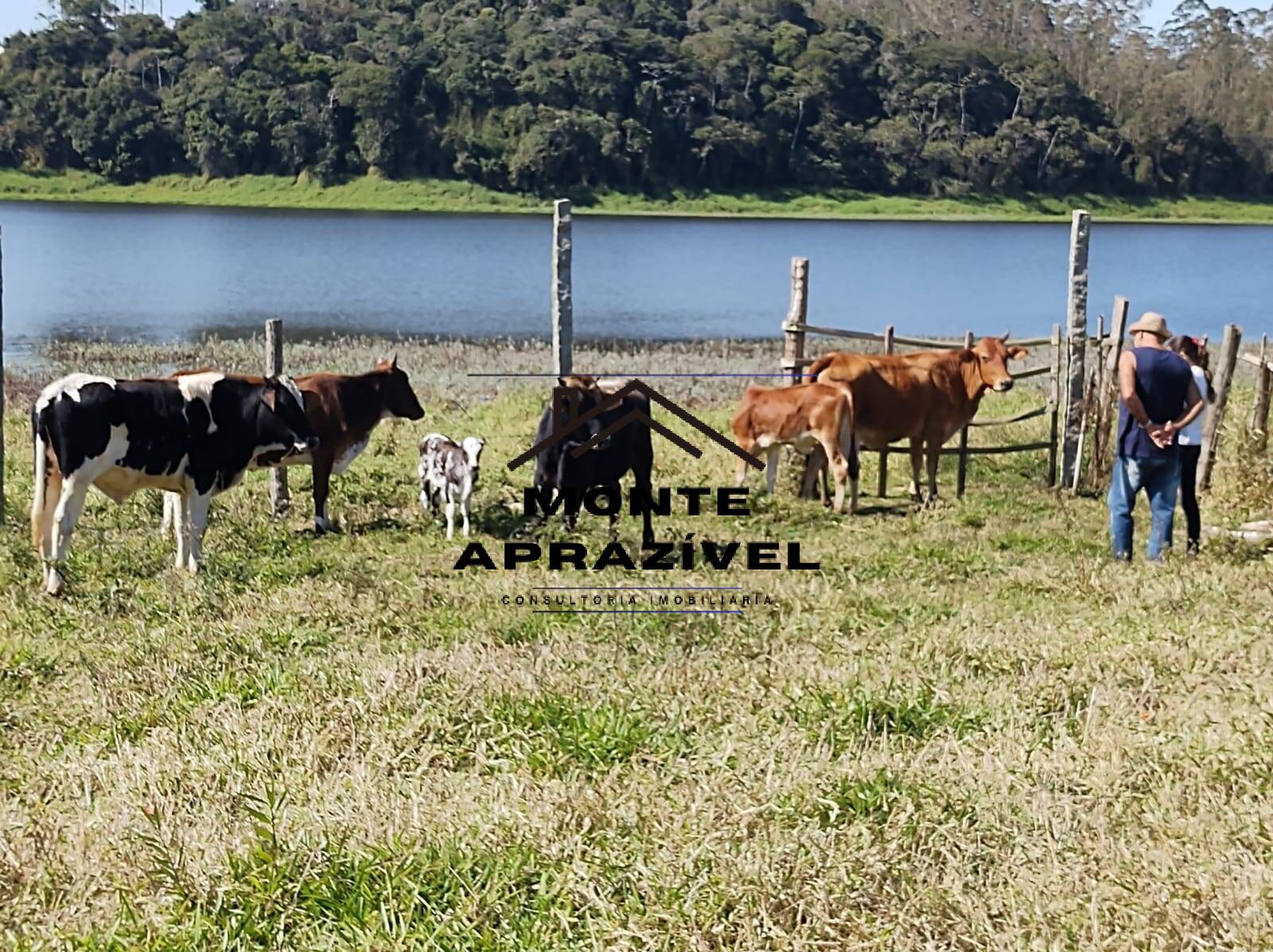 Chácara, 4 quartos, 5800 m² - Foto 10