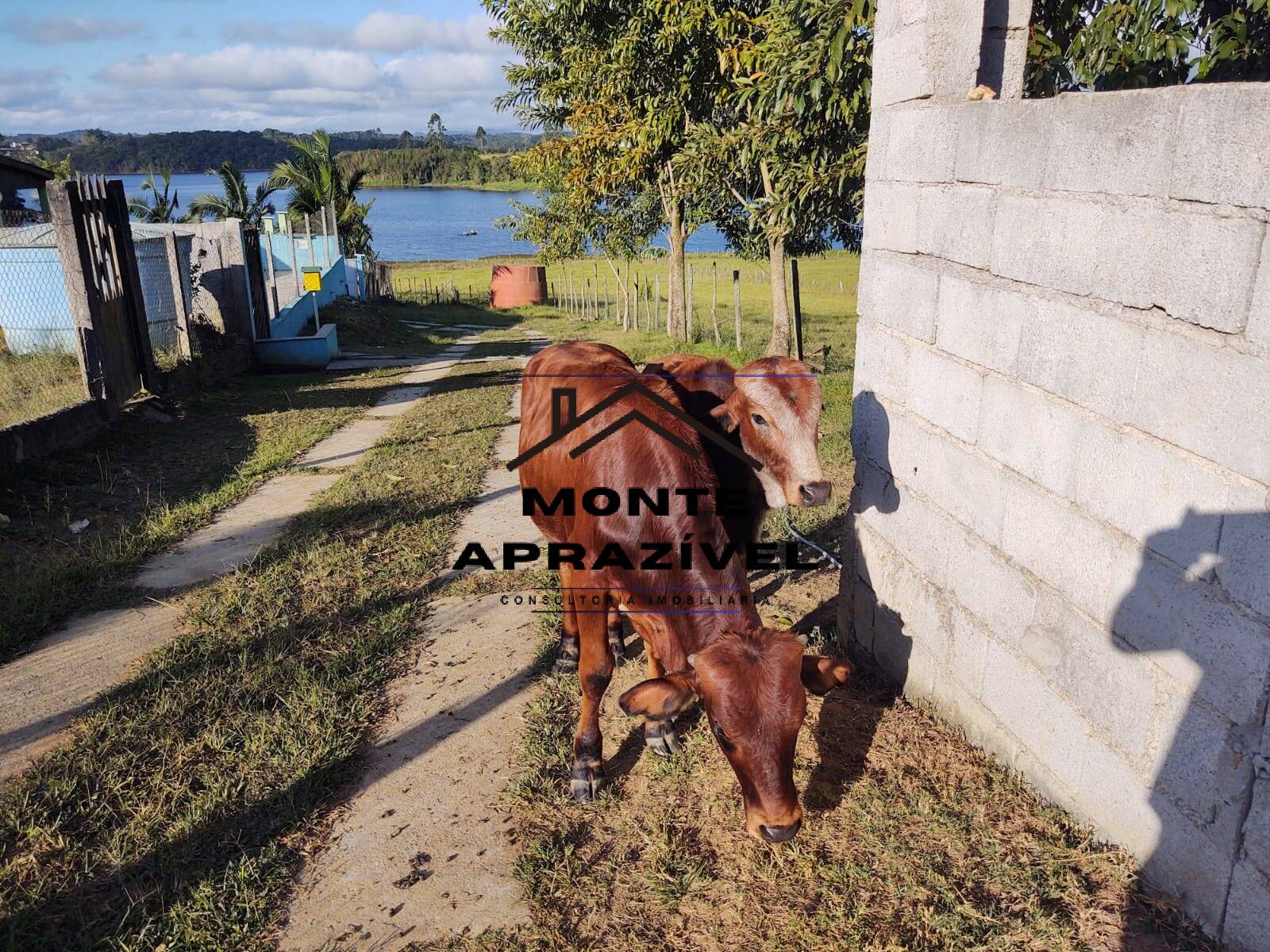 Chácara, 4 quartos, 5800 m² - Foto 13