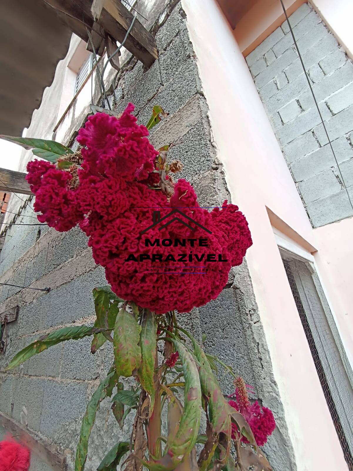 Casa, 2 quartos, 115 m² - Foto 18