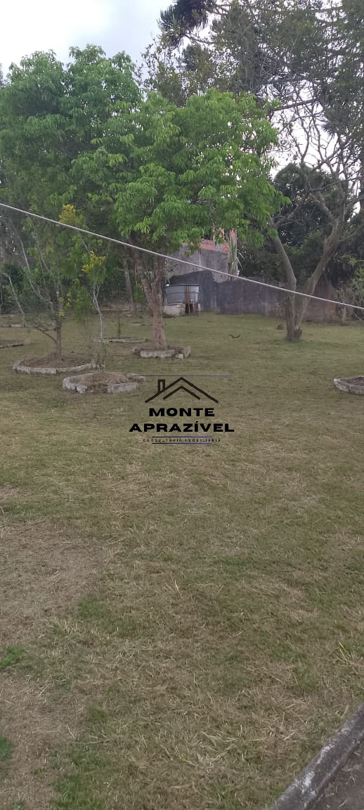 Sítio, 3 quartos, 3000 m² - Foto 5