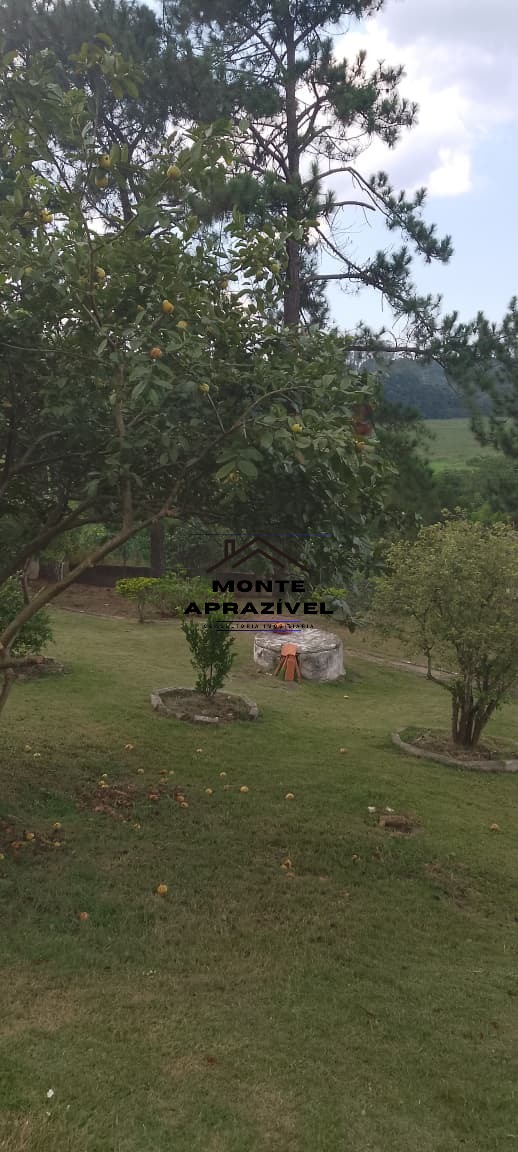 Sítio, 3 quartos, 3000 m² - Foto 19