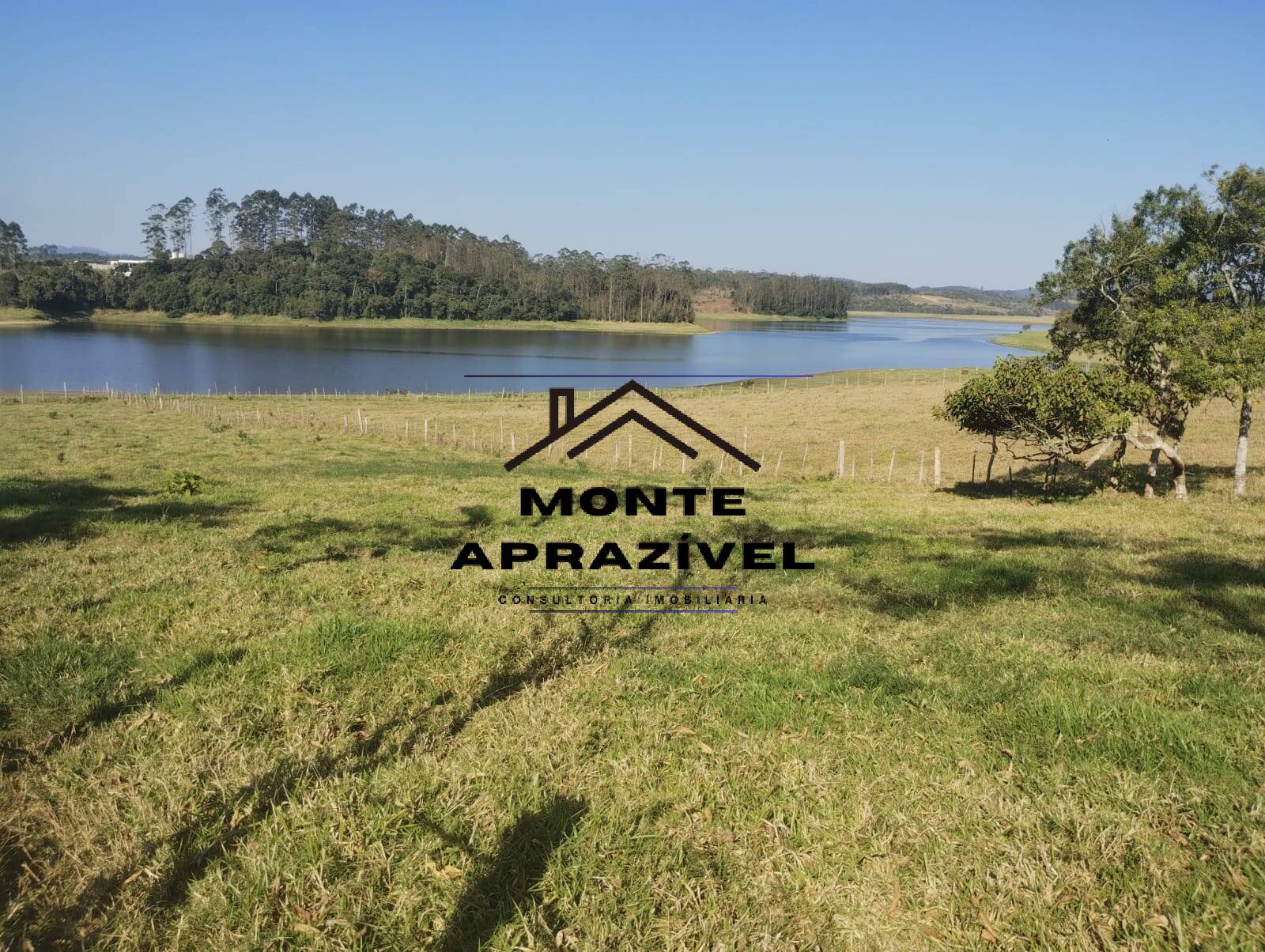 Sítio, 3 quartos, 10000 m² - Foto 3