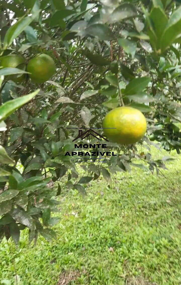 Chácara, 5 quartos, 2800 m² - Foto 2