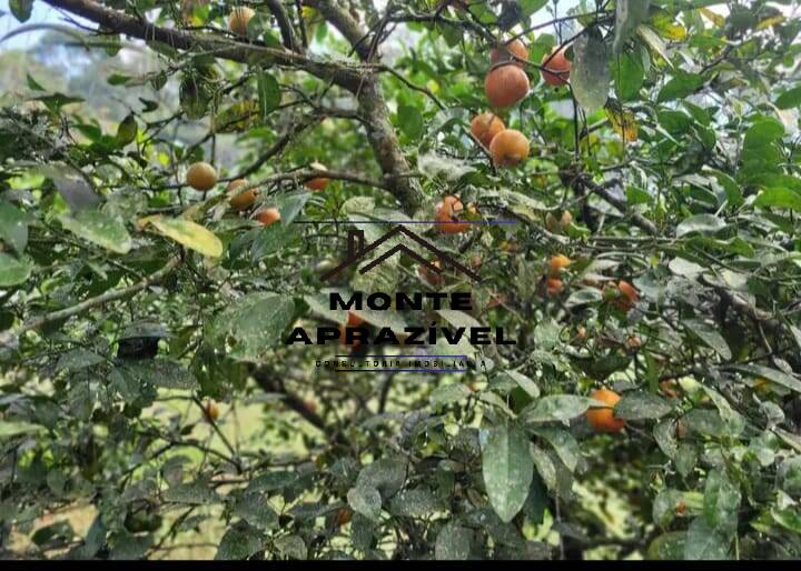 Chácara, 5 quartos, 2800 m² - Foto 17