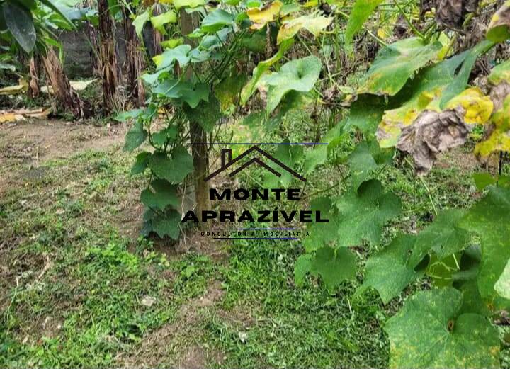 Chácara, 5 quartos, 2800 m² - Foto 20