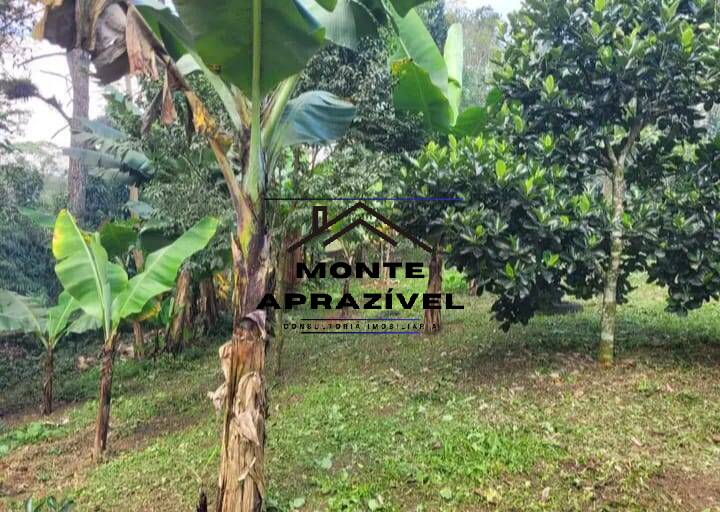 Chácara, 5 quartos, 2800 m² - Foto 4