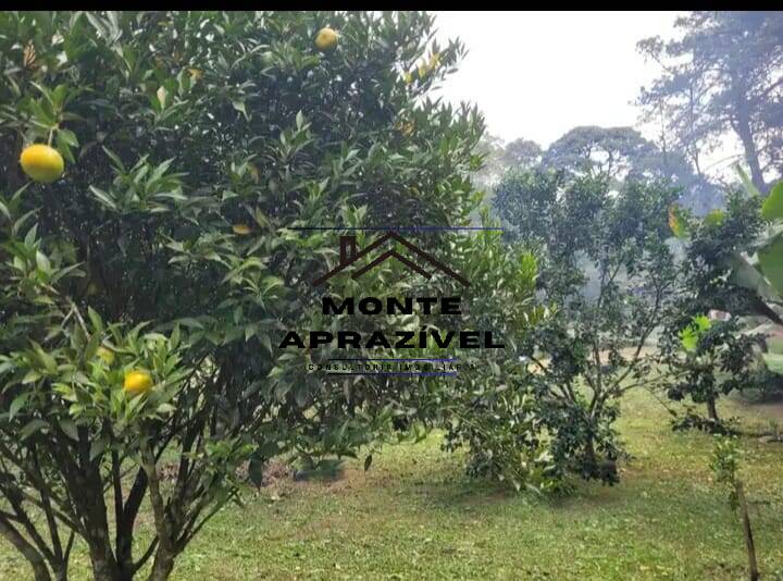 Chácara, 5 quartos, 2800 m² - Foto 3