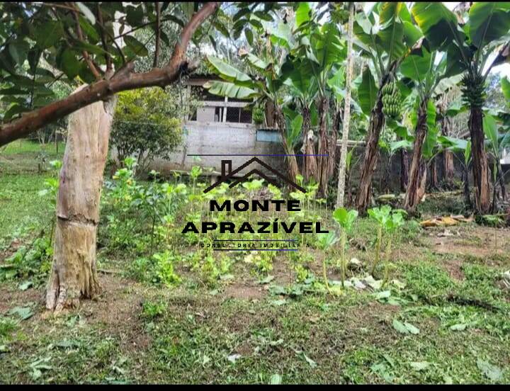 Chácara, 5 quartos, 2800 m² - Foto 5