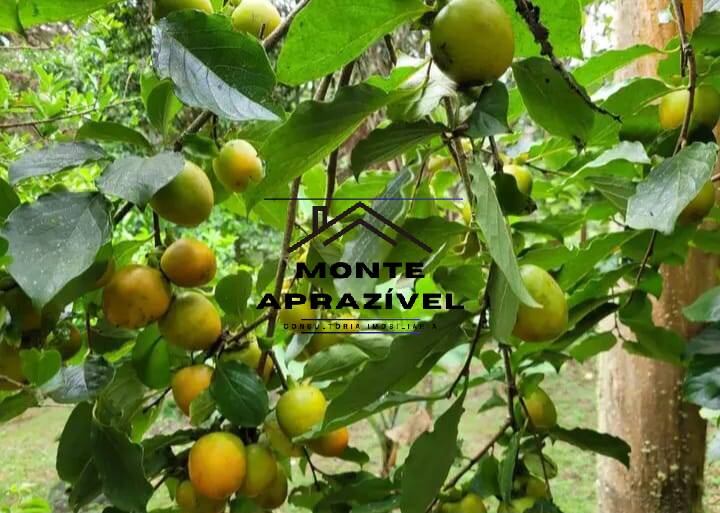 Chácara, 5 quartos, 2800 m² - Foto 9