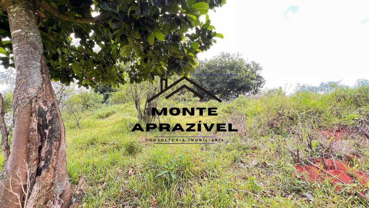 Chácara, 4 quartos, 10 hectares - Foto 19