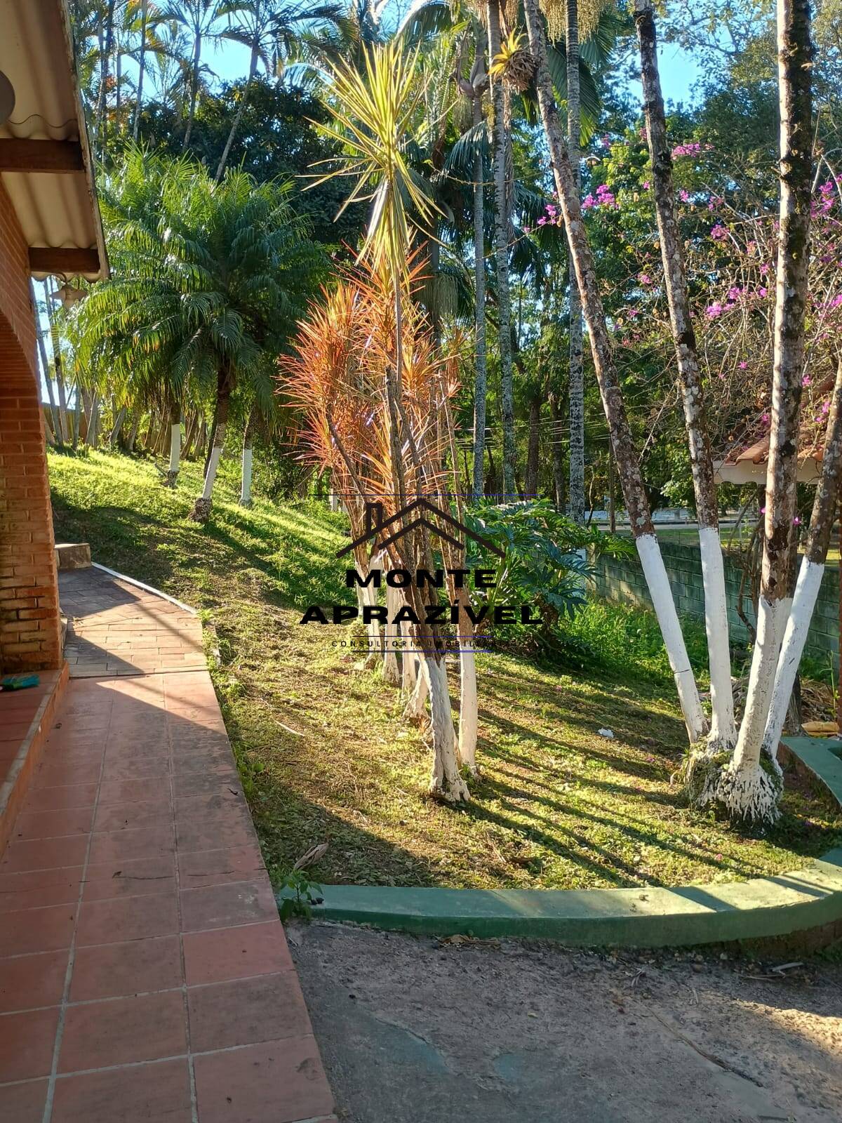 Chácara, 3 quartos, 7000 m² - Foto 20