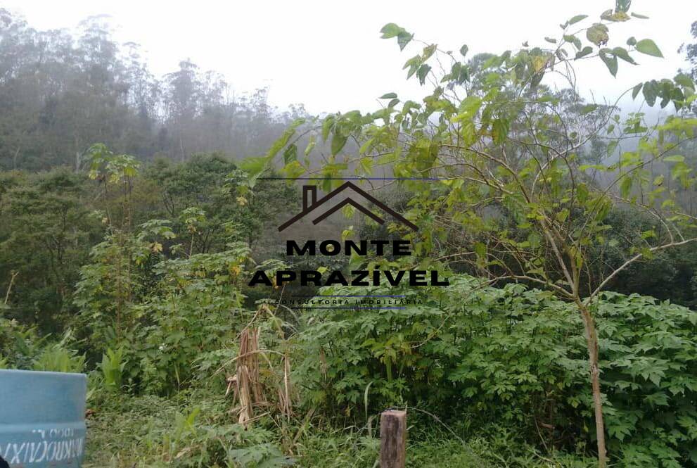 Terreno, 7 hectares - Foto 13