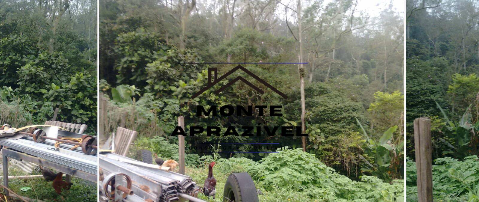 Terreno, 7 hectares - Foto 12