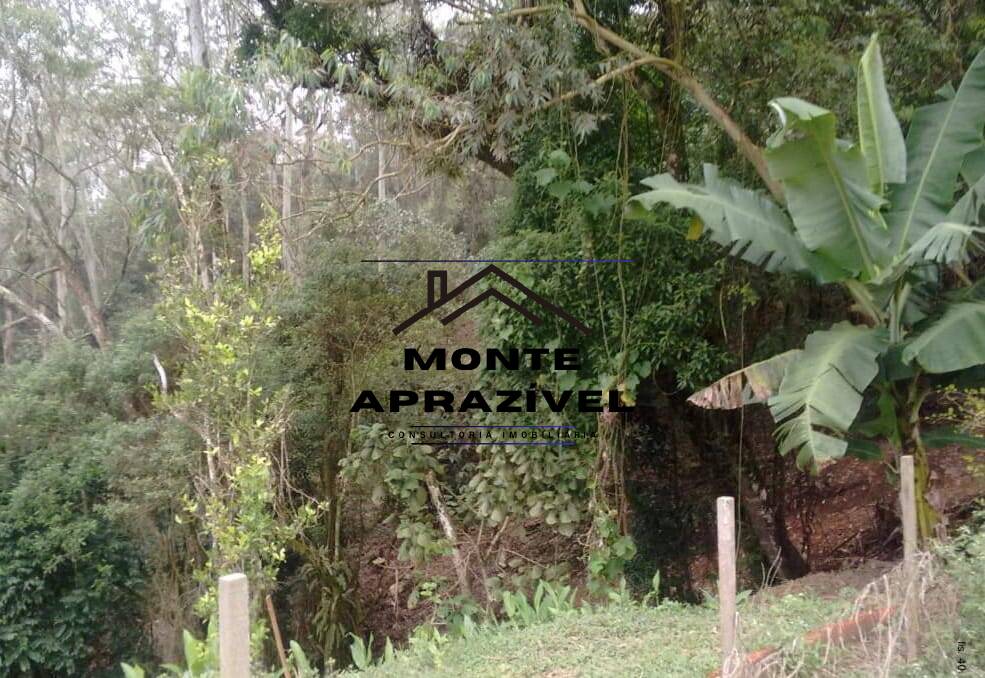 Terreno, 7 hectares - Foto 10