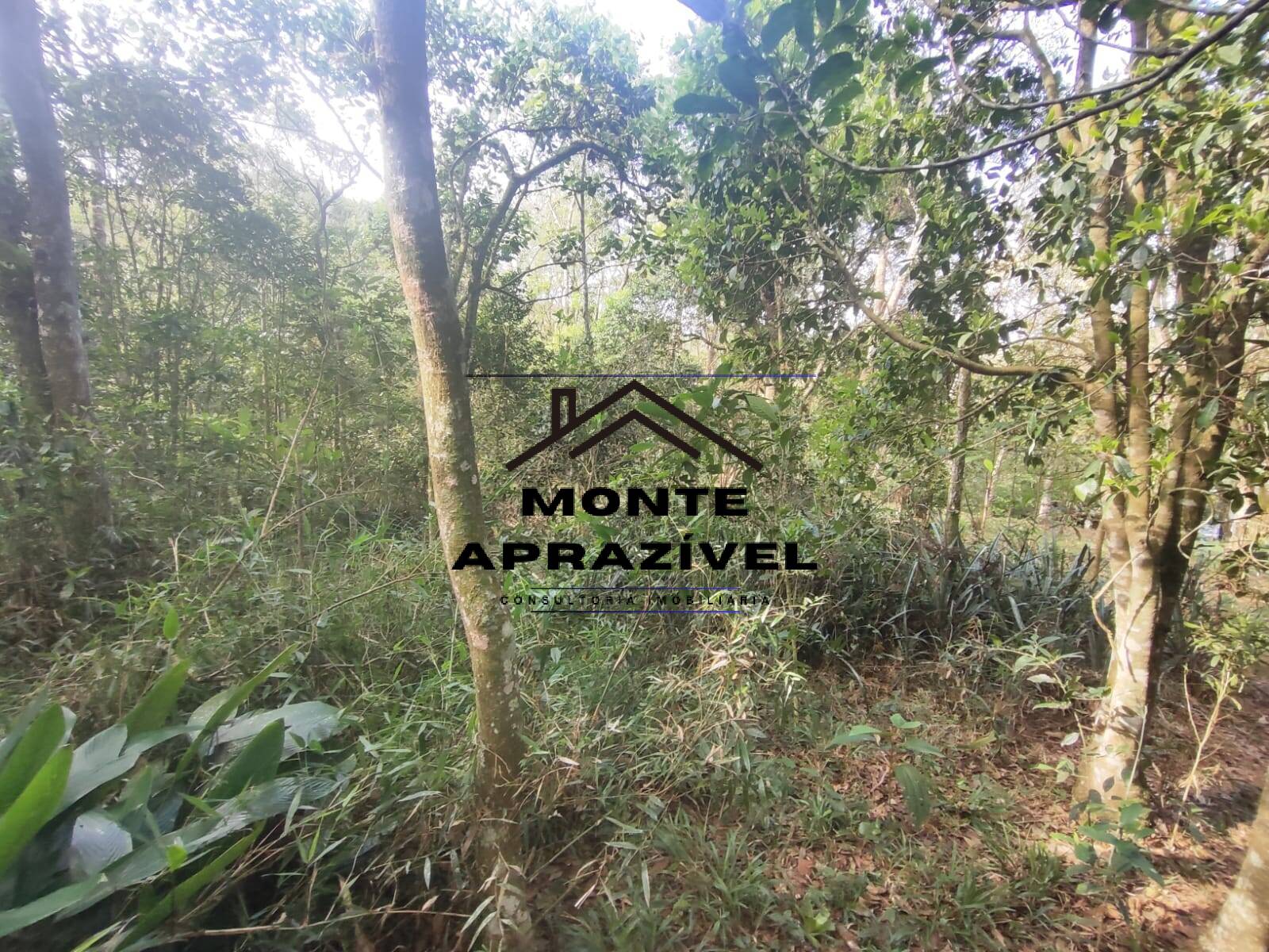 Chácara, 2 quartos, 4480 m² - Foto 5