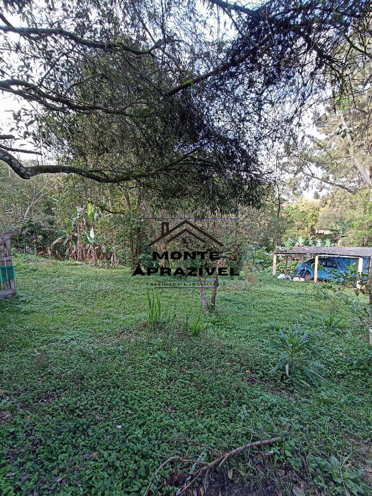 Chácara, 2 quartos, 4480 m² - Foto 6