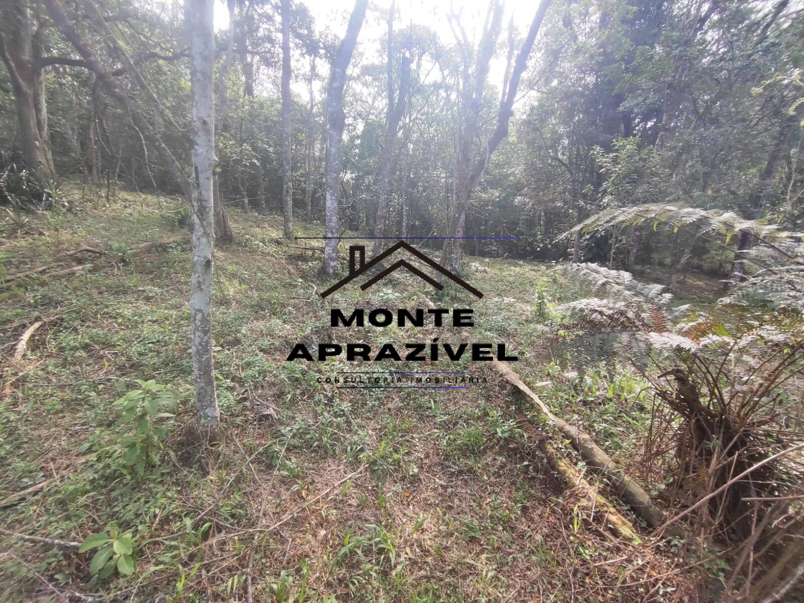 Chácara, 2 quartos, 4480 m² - Foto 7