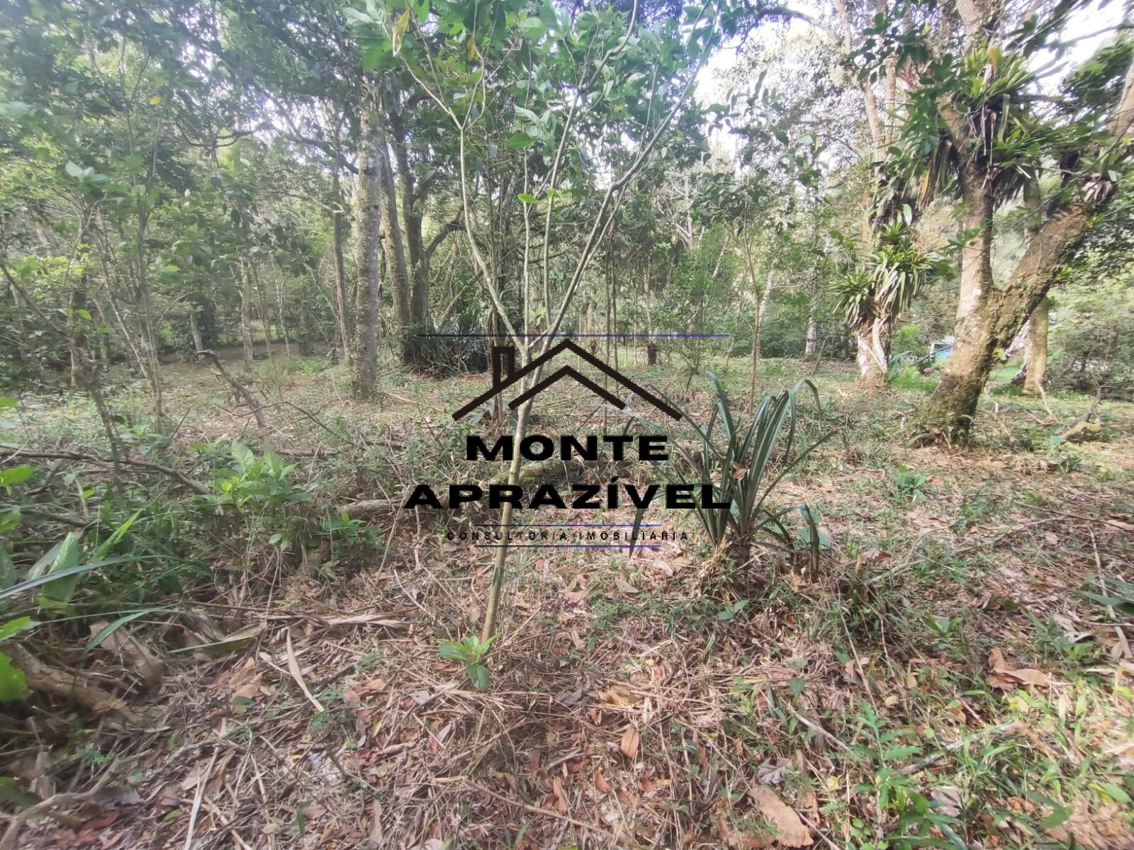 Chácara, 2 quartos, 4480 m² - Foto 10