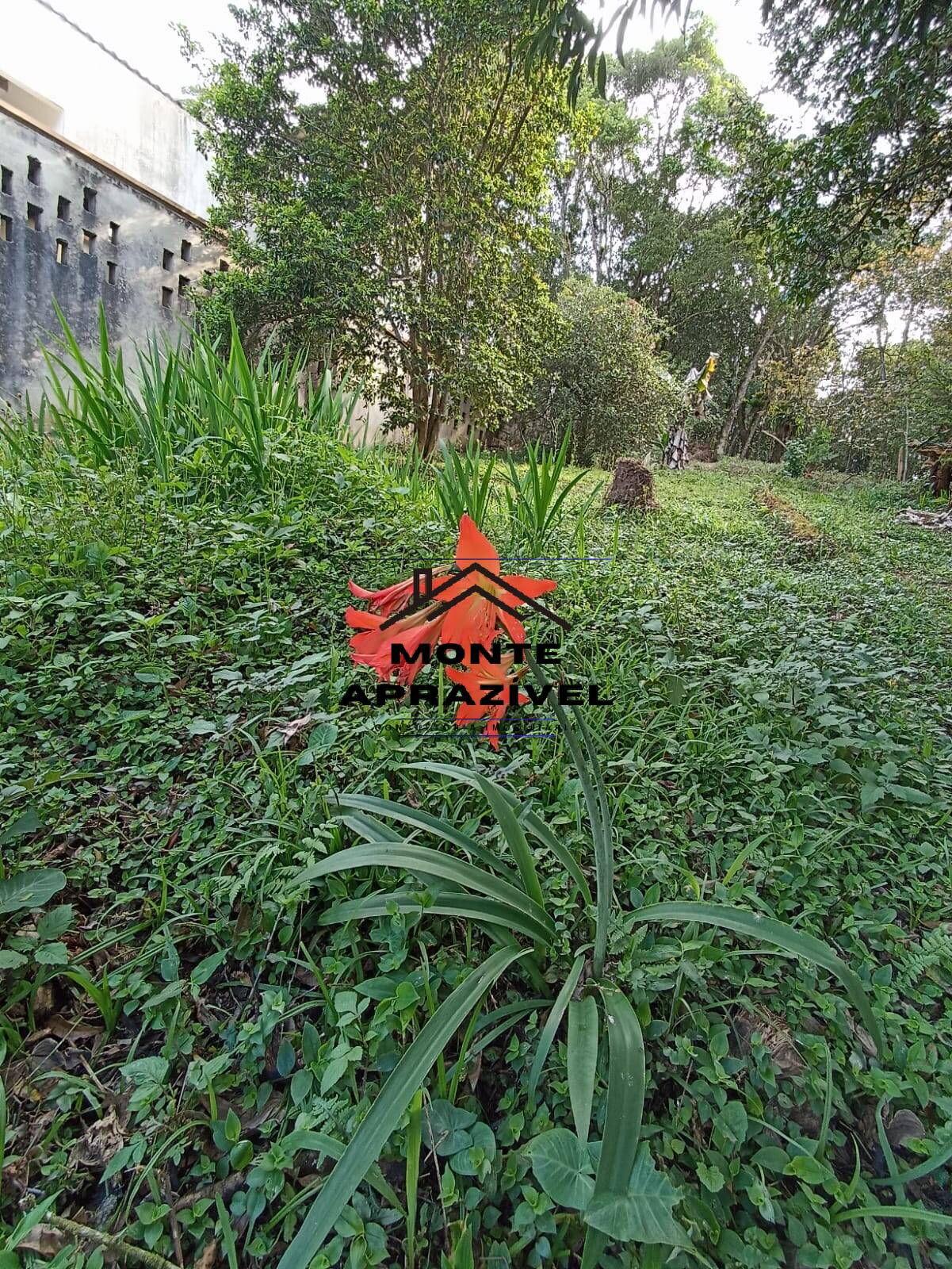 Chácara, 2 quartos, 4480 m² - Foto 11