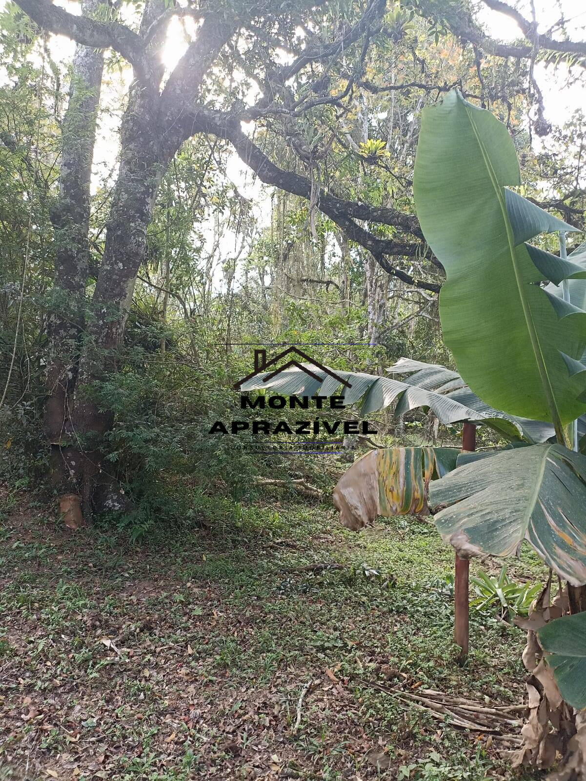 Chácara, 2 quartos, 4480 m² - Foto 13